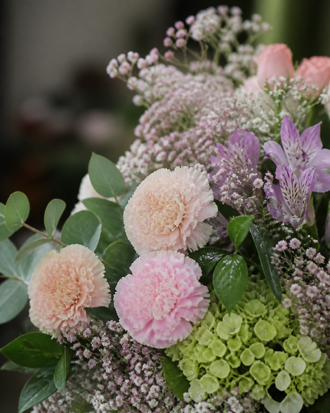 Claveles, paniculata de color, astromelias y hortensias